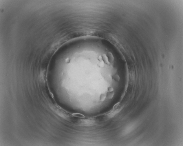 X0000060770286200511241801