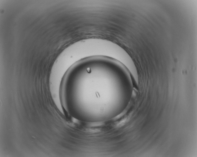 X0000060770287200511241801