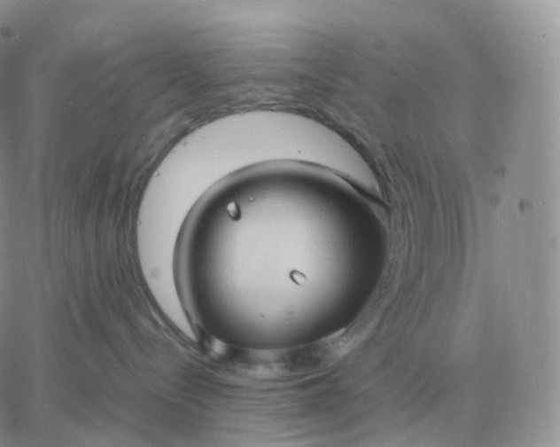 X0000060770288200511241801