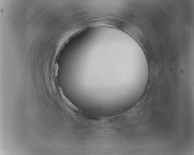 X0000060770289200511241801