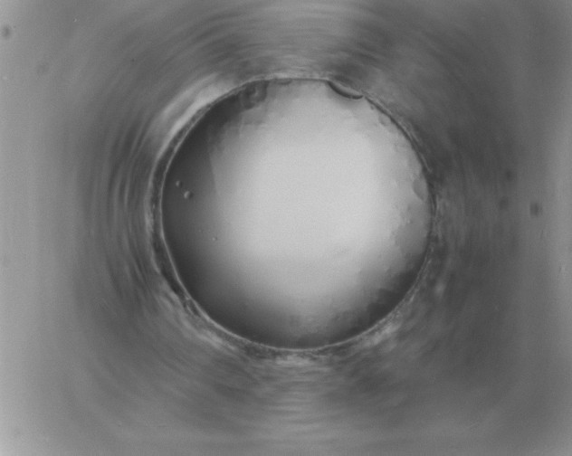 X0000060770290200511241800