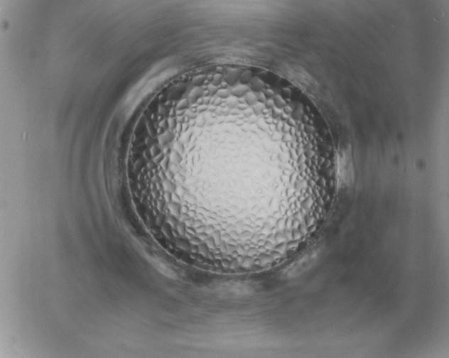 X0000060770291200511241800