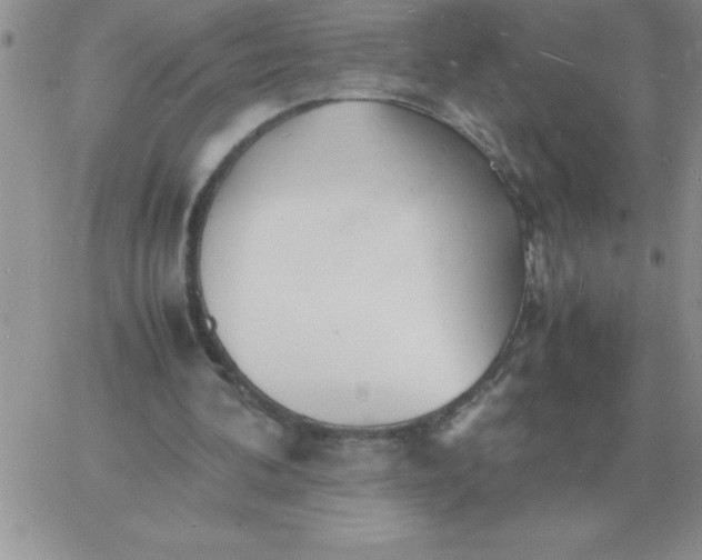 X0000060770292200511241800