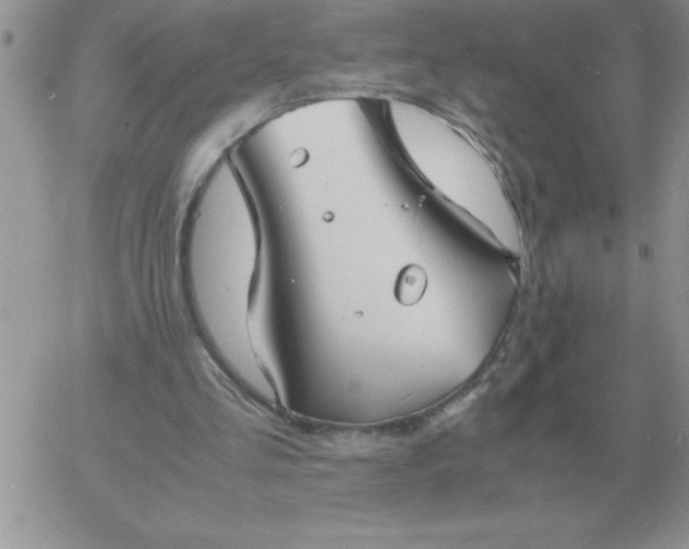 X0000060770293200511241800