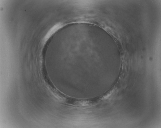 X0000060770295200511241800