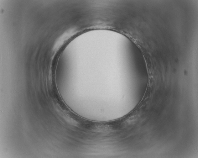 X0000060770296200511241800