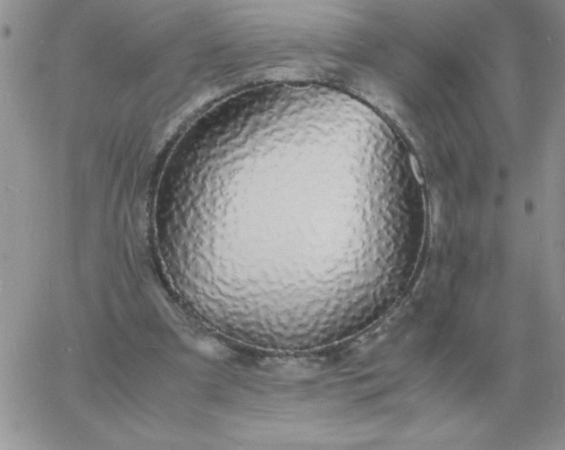 X0000060770297200511241800