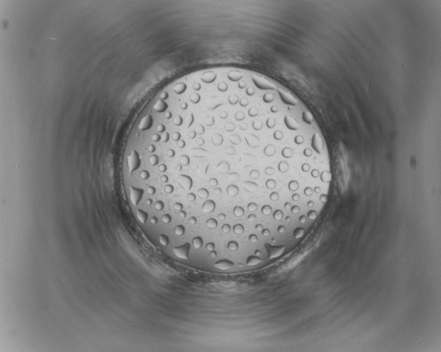 X0000060770298200511241800