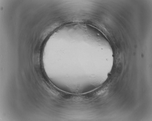 X0000060770299200511241800