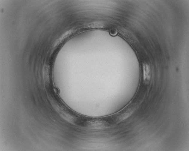 X0000060770300200511241800