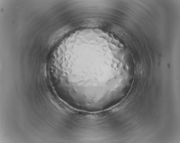 X0000060770302200511241800