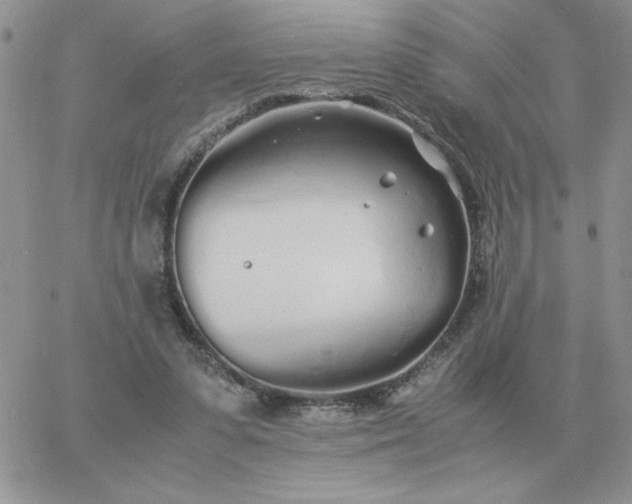 X0000060770303200511241800