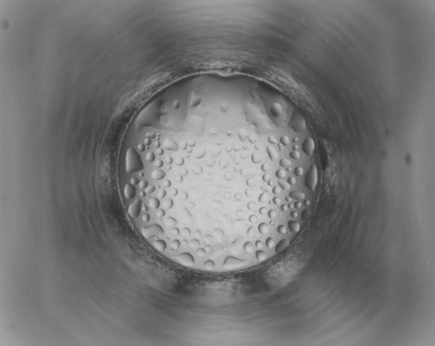 X0000060770306200511241800