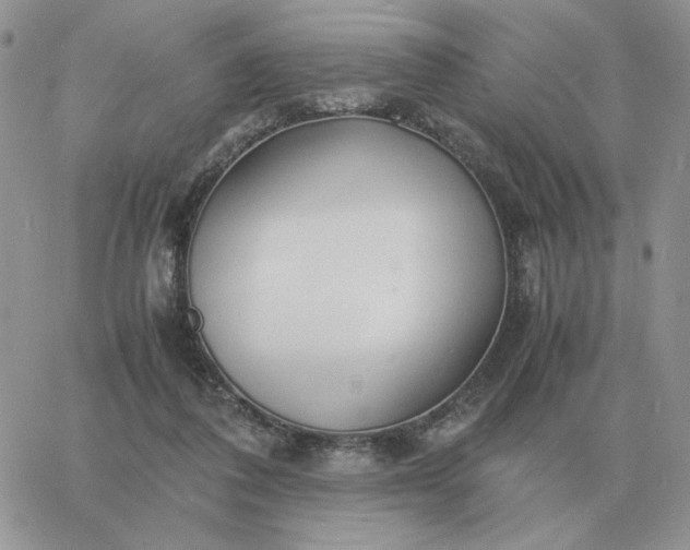 X0000060770308200511241800