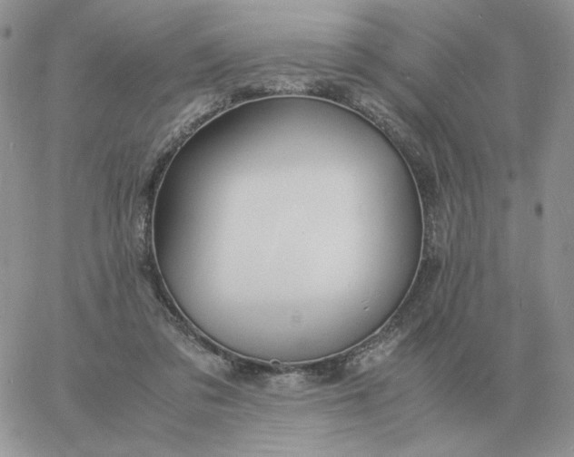 X0000060770309200511241800