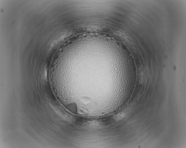 X0000060770310200511241800