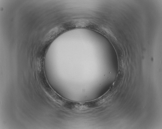 X0000060770311200511241800