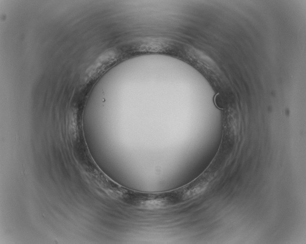 X0000060770312200511241800