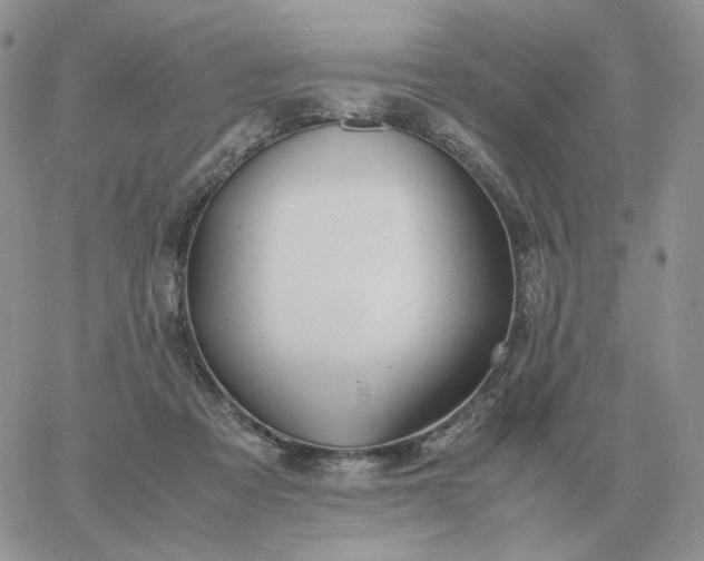 X0000060770313200511241800