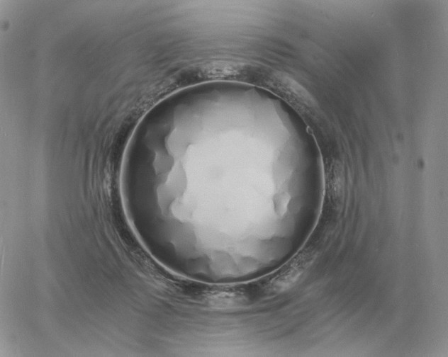 X0000060770315200511241800