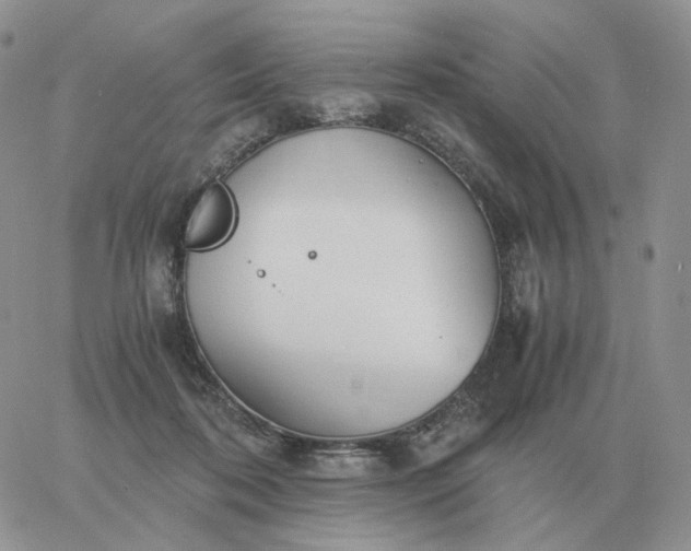 X0000060770316200511241800