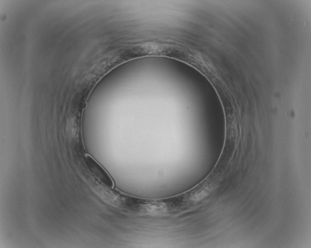 X0000060770317200511241800