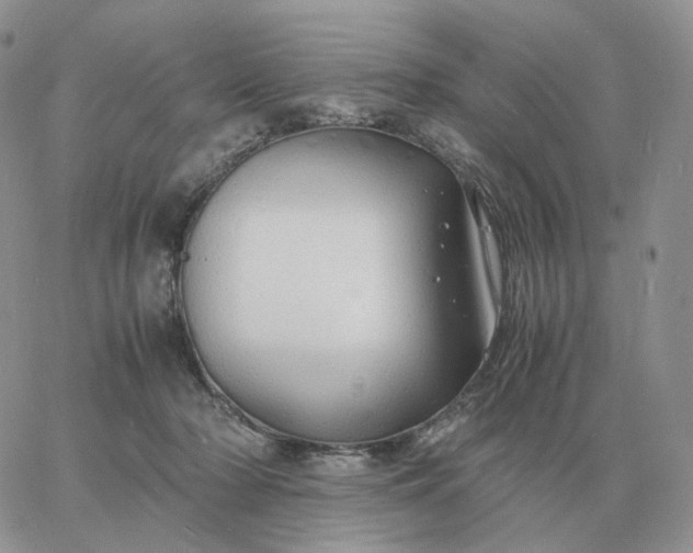 X0000060770318200511241800