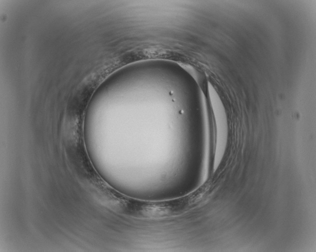 X0000060770319200511241800