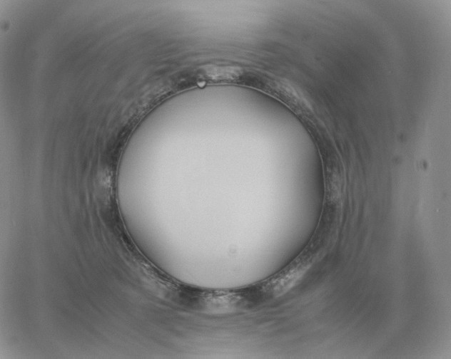 X0000060770321200511241800