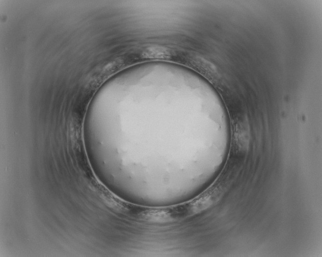 X0000060770322200511241800