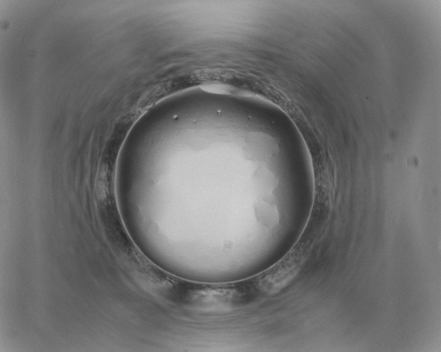 X0000060770323200511241800