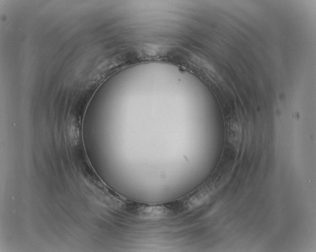 X0000060770324200511241800