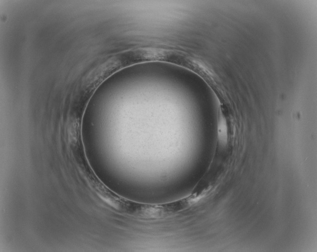 X0000060770325200511241800