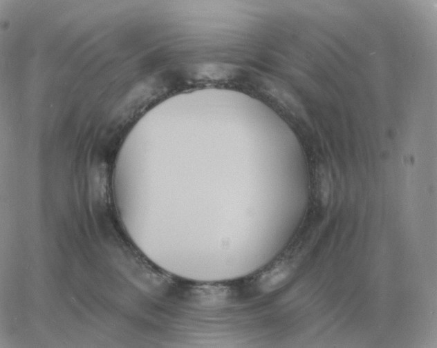 X0000060770328200511241800