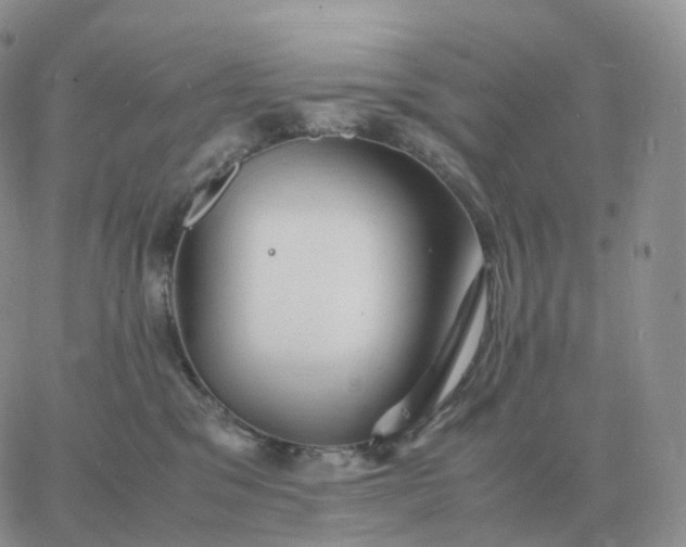 X0000060770329200511241800