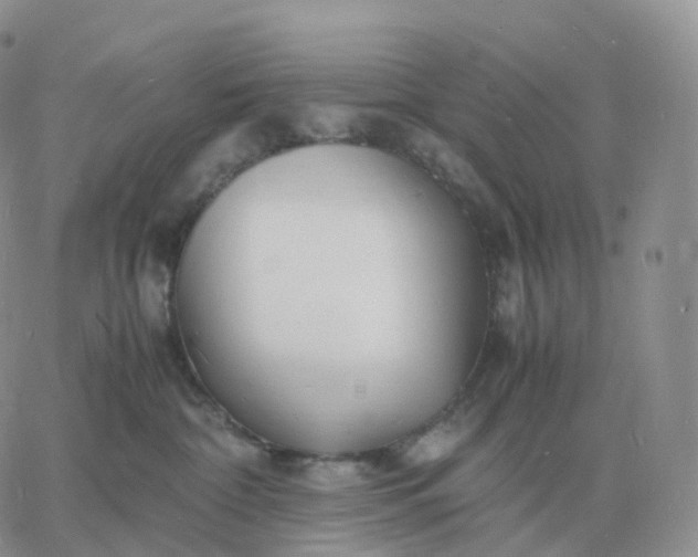 X0000060770332200511241800