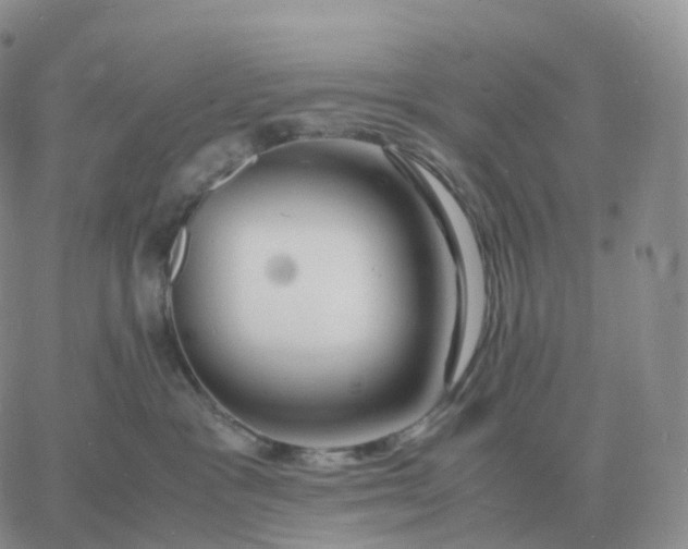 X0000060770333200511241800