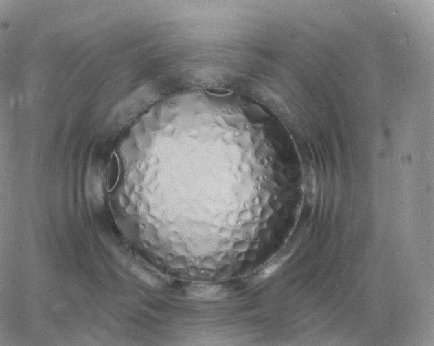 X0000060770334200511241800