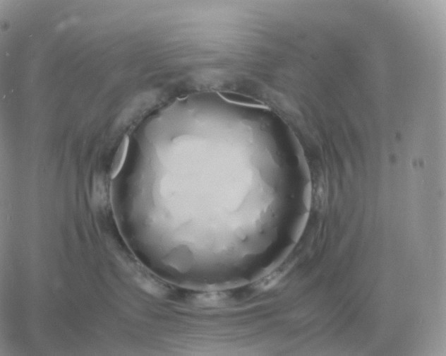 X0000060770335200511241800