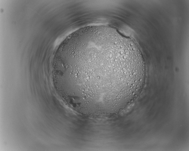 X0000060770337200511241759