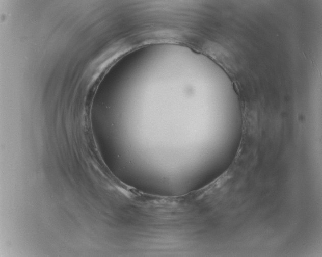 X0000060770338200511241759