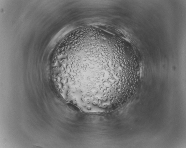 X0000060770339200511241759