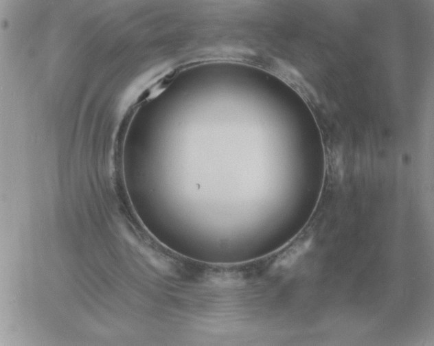 X0000060770340200511241759