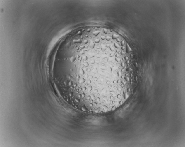 X0000060770343200511241759