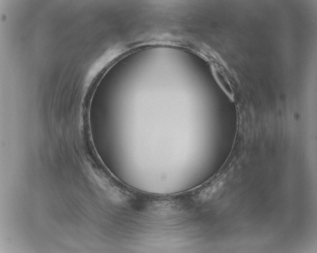 X0000060770344200511241759