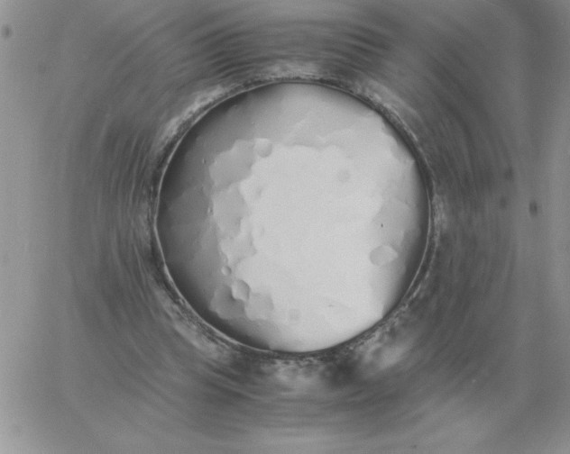 X0000060770345200511241759