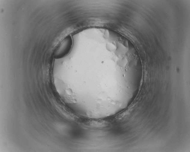 X0000060770346200511241759