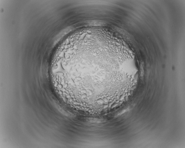 X0000060770347200511241759