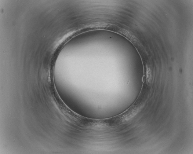 X0000060770348200511241759