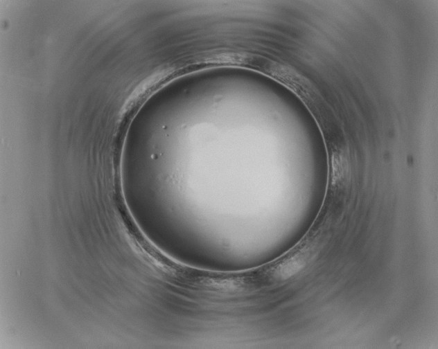 X0000060770349200511241759